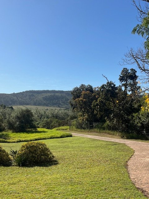  Bedroom Property for Sale in Wittedrift Western Cape